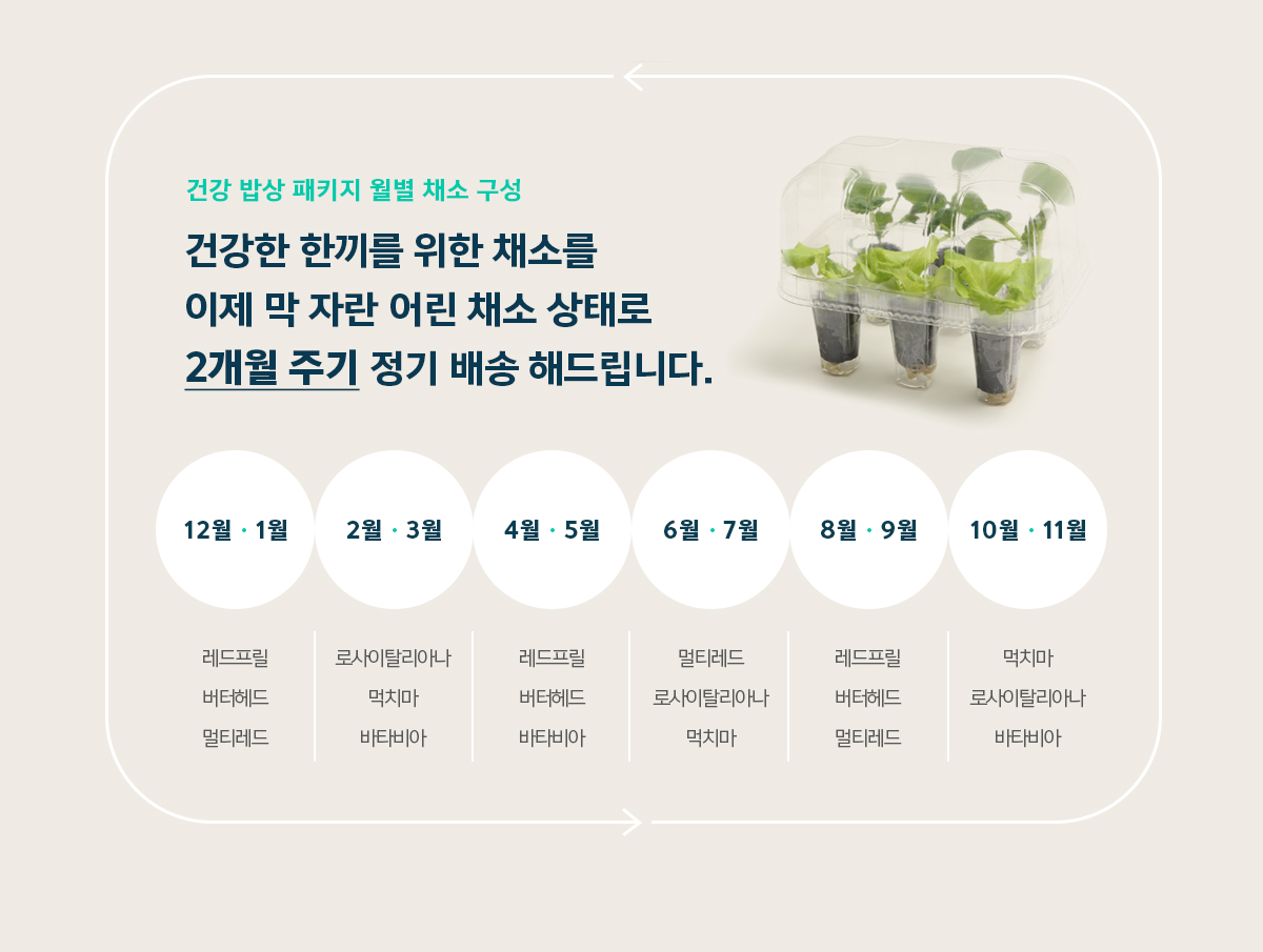 웰스 웰스팜 슬림 건강 밥상 패키지 (2개월 방문관리) 이미지 4