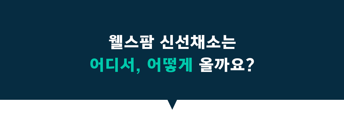 웰스 웰스팜 슬림 건강 샐러드&주스 패키지 (2개월 방문관리) 이미지 5
