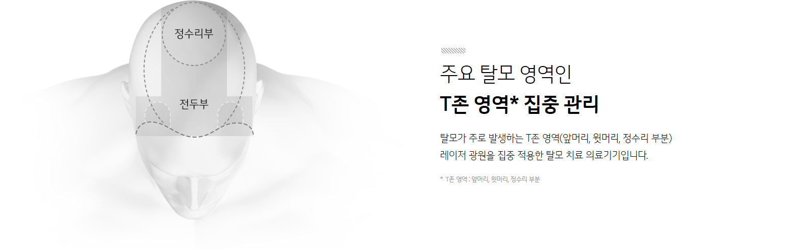 LG전자 프라엘 메디헤어 탈모치료기 이미지 5