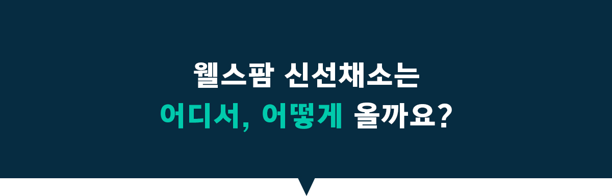 웰스 웰스팜 와이드 우리 아이 신선 이유식 패키지 (2개월 방문관리) 이미지 5