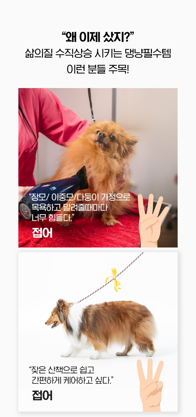 페페 중형견용 펫드라이룸 DR-300 PRO 이미지 4