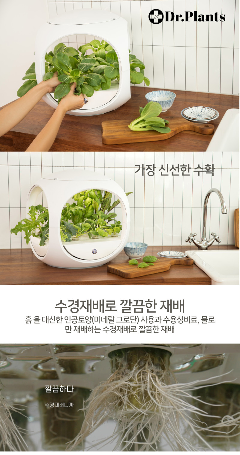 닥터플랜츠 그로단으로 생육하는 수경재배기 2세트 식물재배기 이미지 8