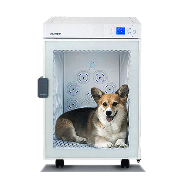 붐펫 펫드라이룸 K300 이미지 1