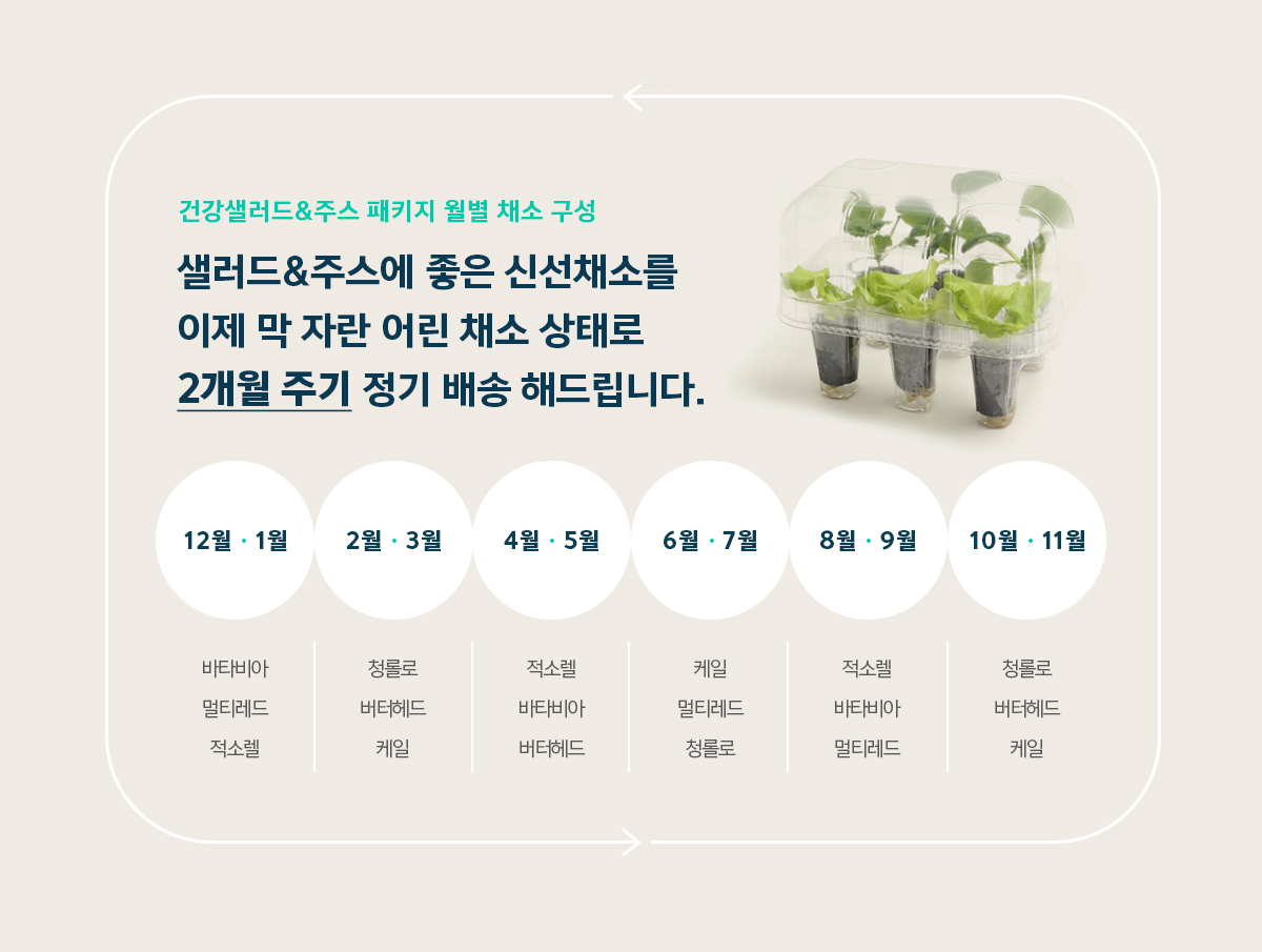 웰스 웰스팜 와이드 건강 샐러드&주스 패키지 (2개월 방문관리) 이미지 4