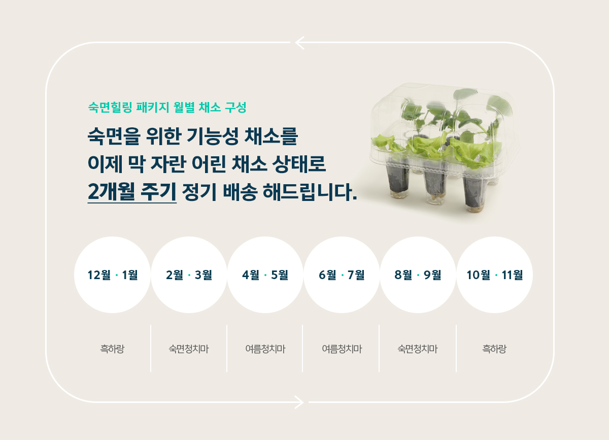 웰스 웰스팜 슬림 숙면 힐링 패키지 (2개월 방문관리) 이미지 4