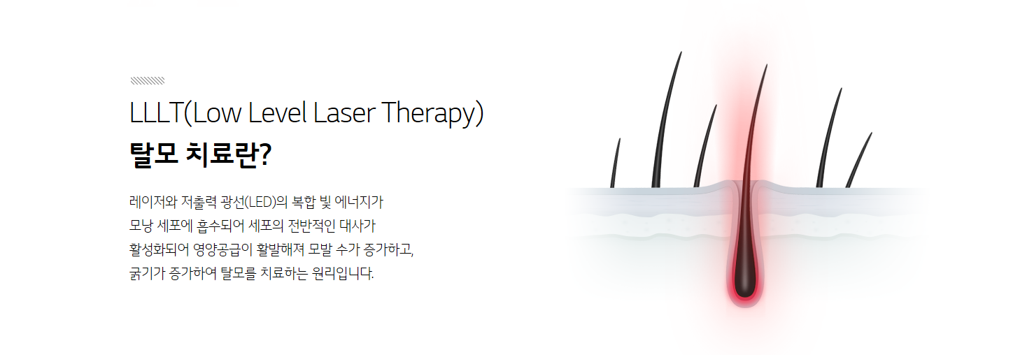 LG전자 프라엘 메디헤어 탈모치료기 이미지 4