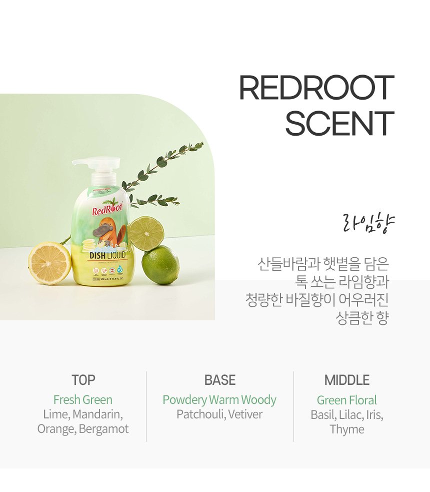 [레드루트] 주방세제 라임향 500ml 4개(주방세제1개 증정) 이미지 5