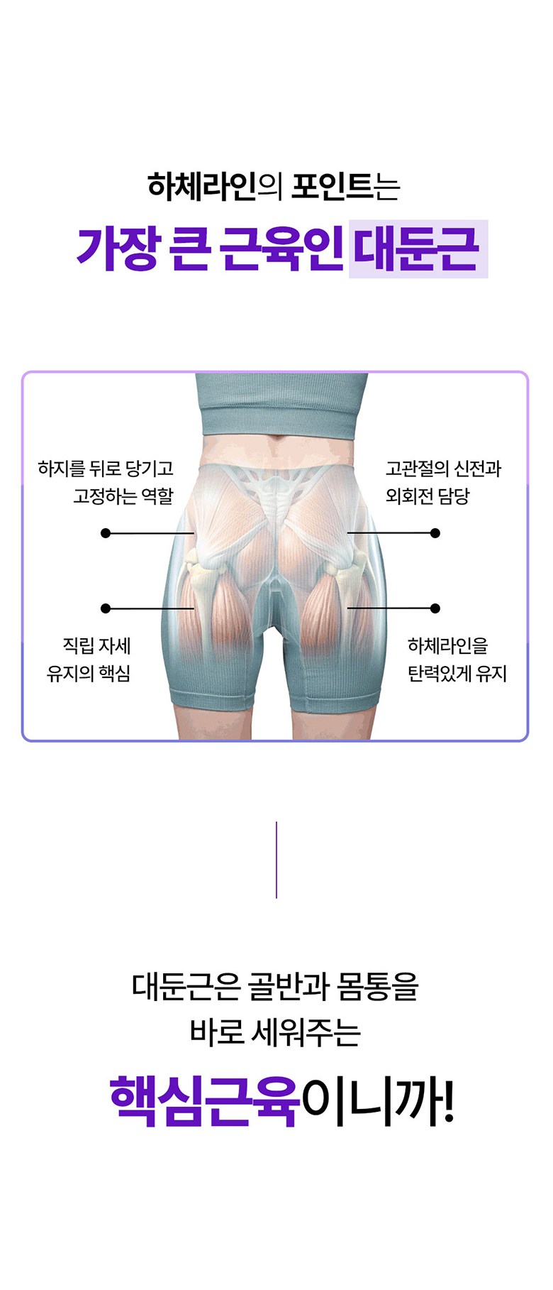 무브핏 힙클라임 가정용 천국의계단 스텝퍼 홈트 이미지 12