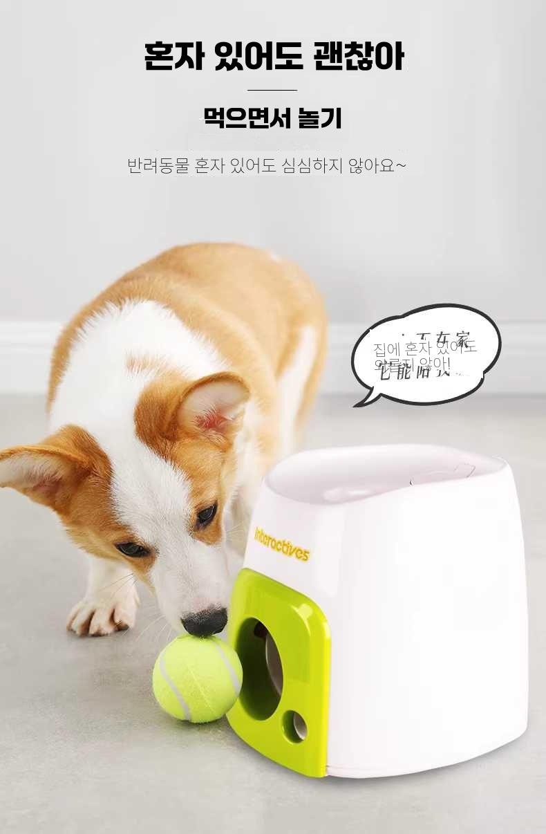 강아지 셀프 공 발사기 던지기 자동 발사 장난감 공놀이 애견 훈련+3테니스공 이미지 4